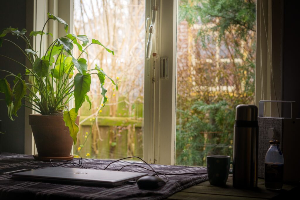 Potted plants, laptop, and cup of coffee in front of a window sill