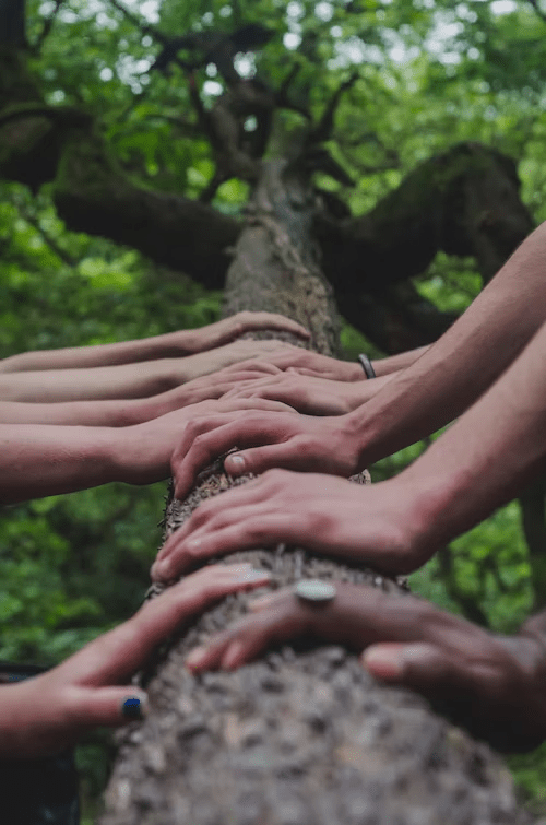 Several hands on a tree trunk